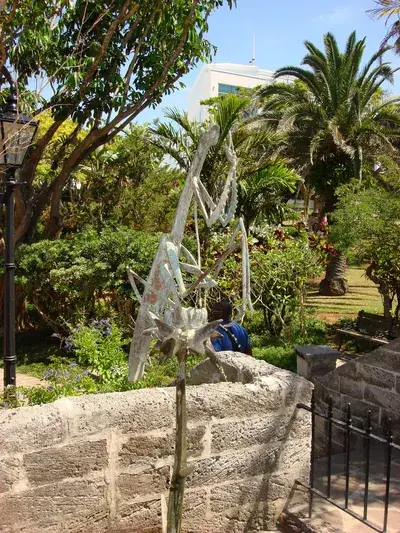 Bermuda (29)